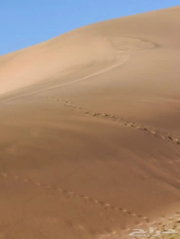 رمل سفساف رمل ناعم رمل بدر 0