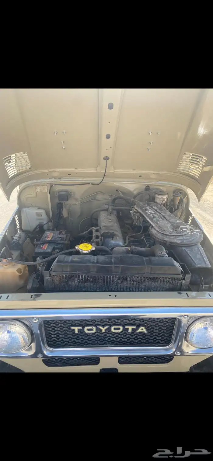 جيب شراع مديل 1981 6