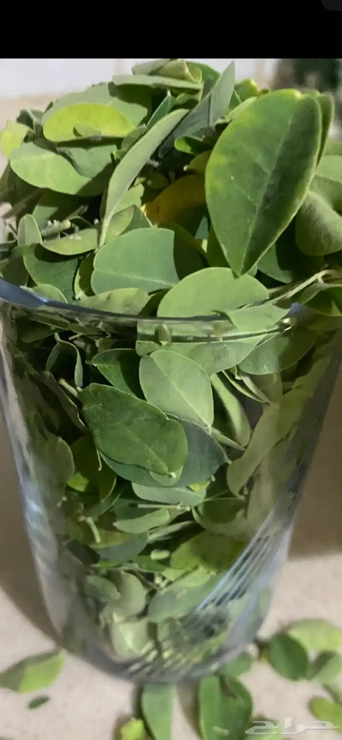 مخرج 5 حي الغدير 0