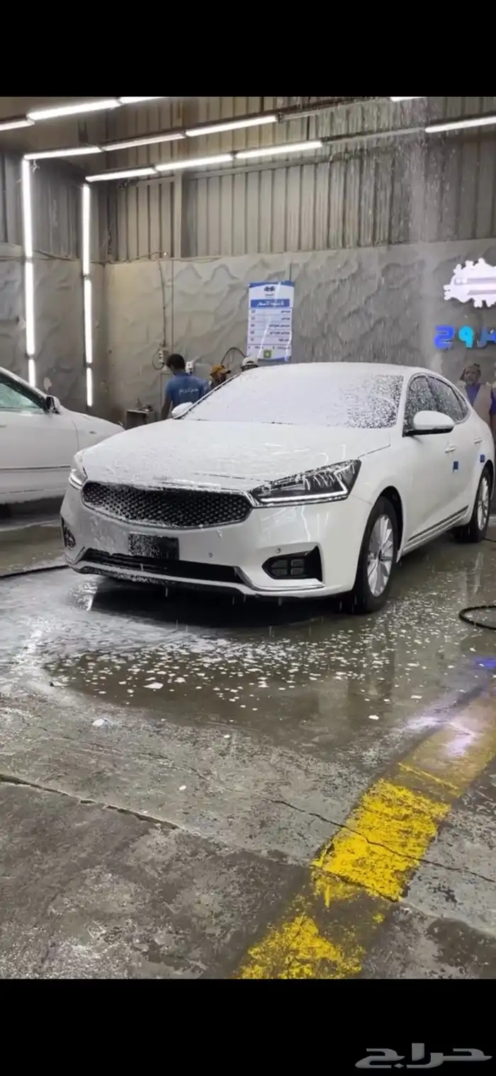 كيا كادينزا 2019 0