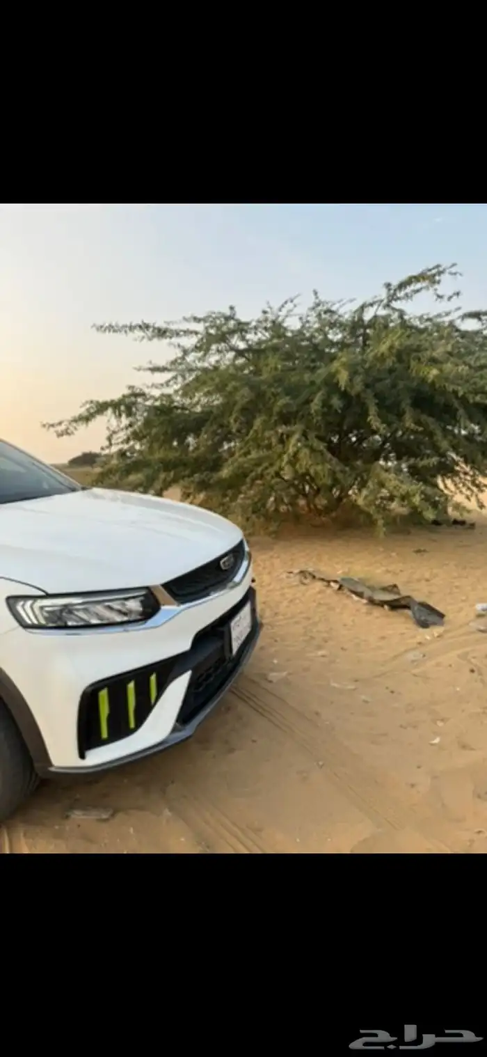 جيلي توجيلا للتنازل بدوم اي مقابل 2