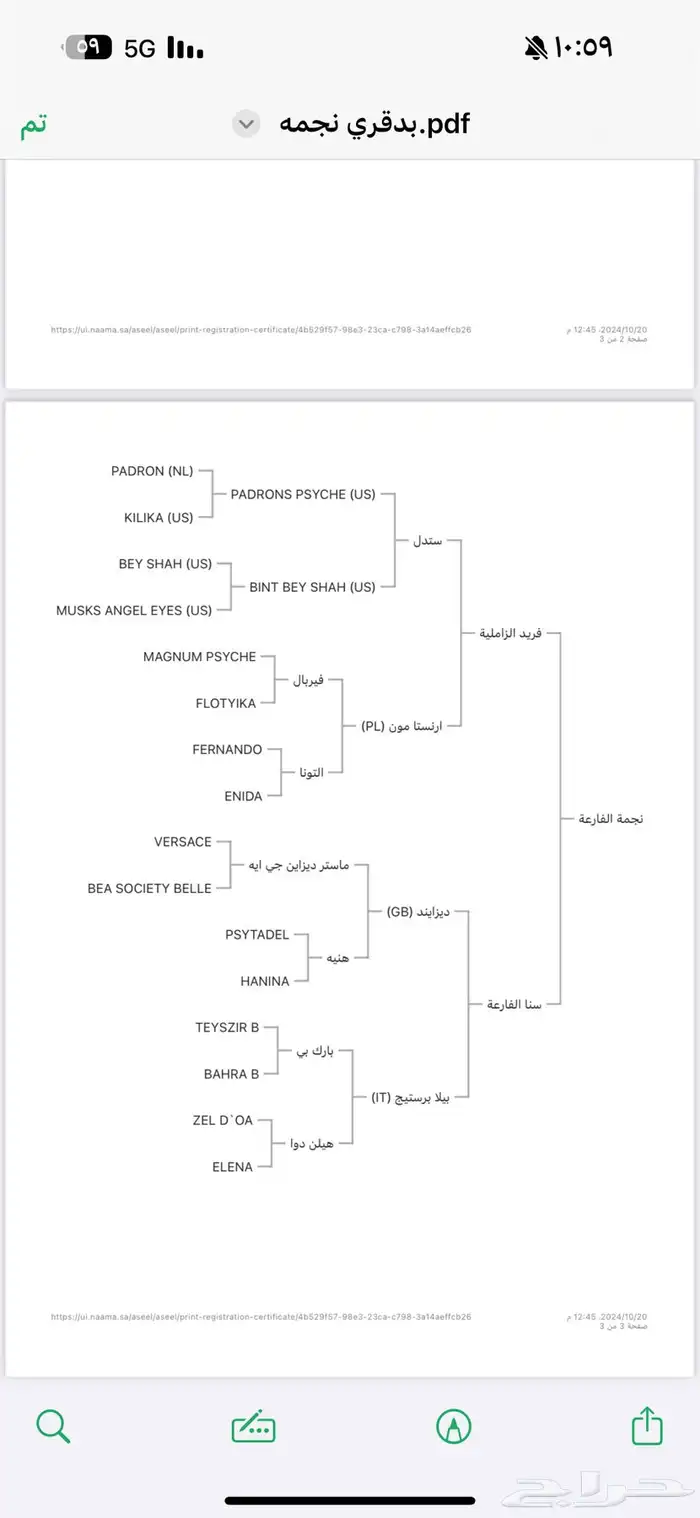 فرس واهو مكس 5