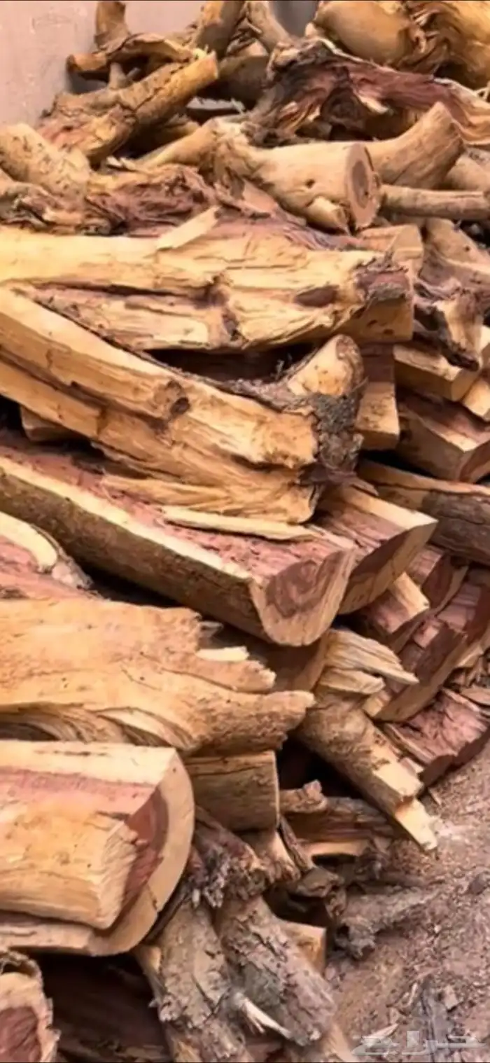 حطب سمر مستورد شرط ف الرياض 1