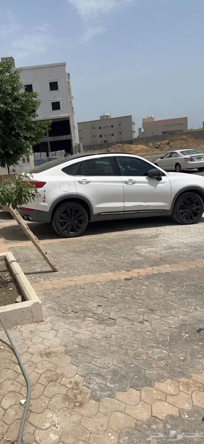 جيلي توجيلا للتنازل بدوم اي مقابل 3