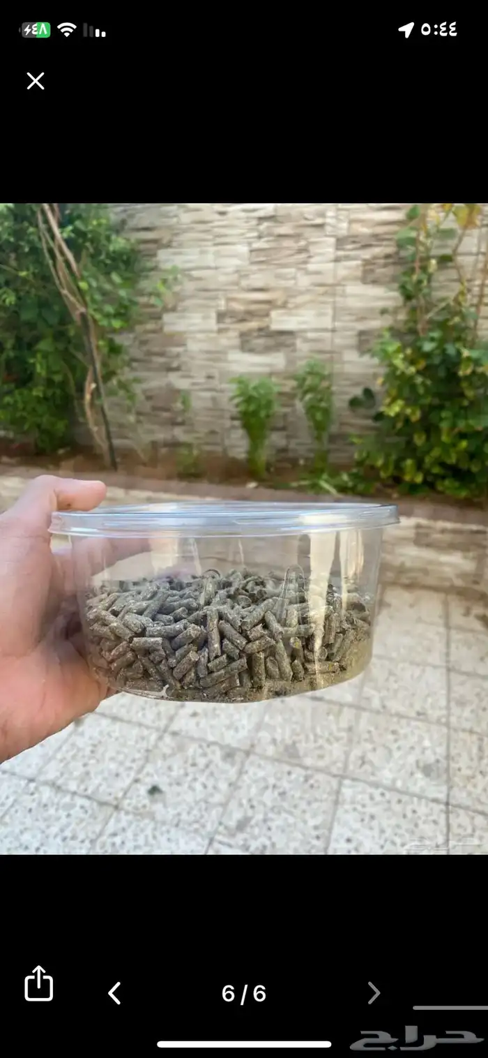 ارانب للبيع 5