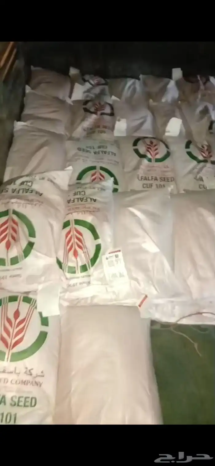 بذور باسفيك 0