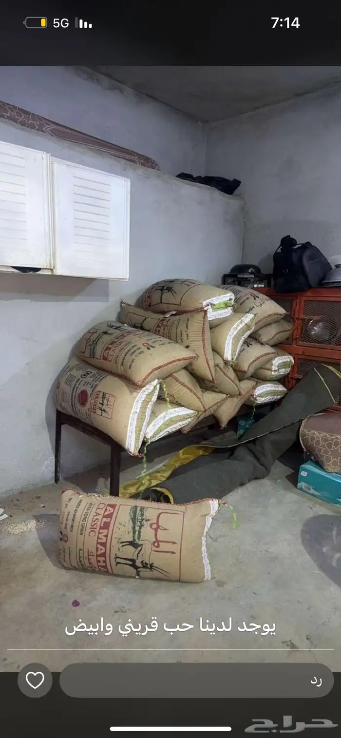 حب قريني وابيض 1