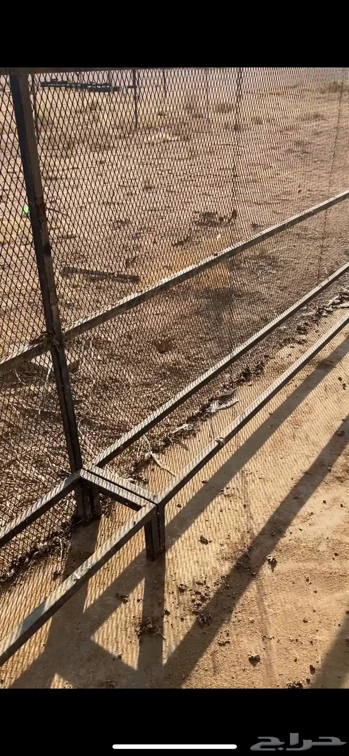 شبك حمام للبيع 4