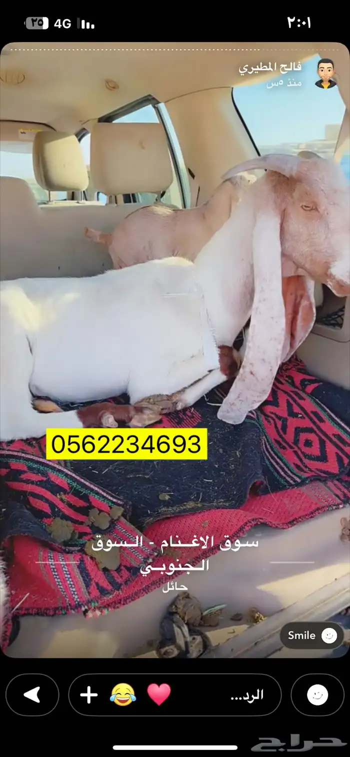 عند متوم تحتها تيسين 0