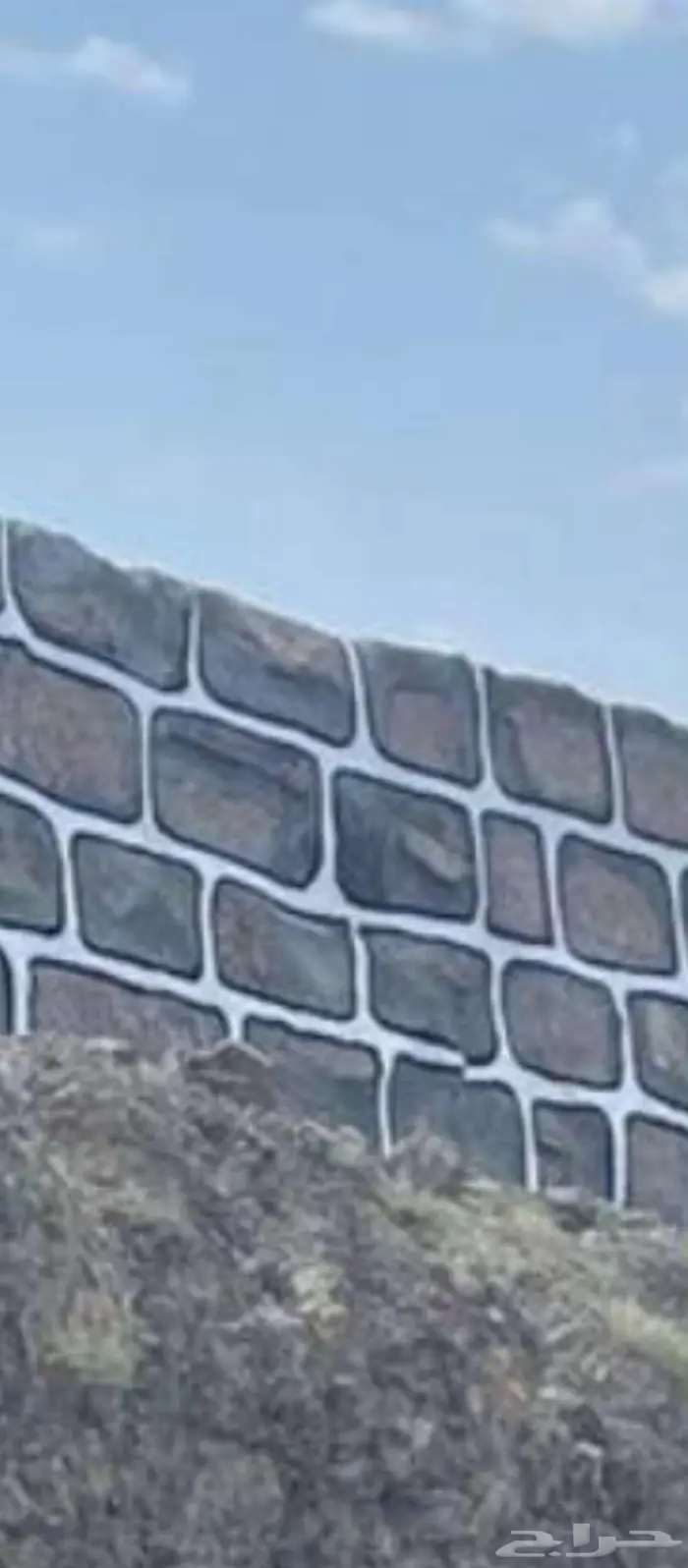 تليس حجروربراب 0