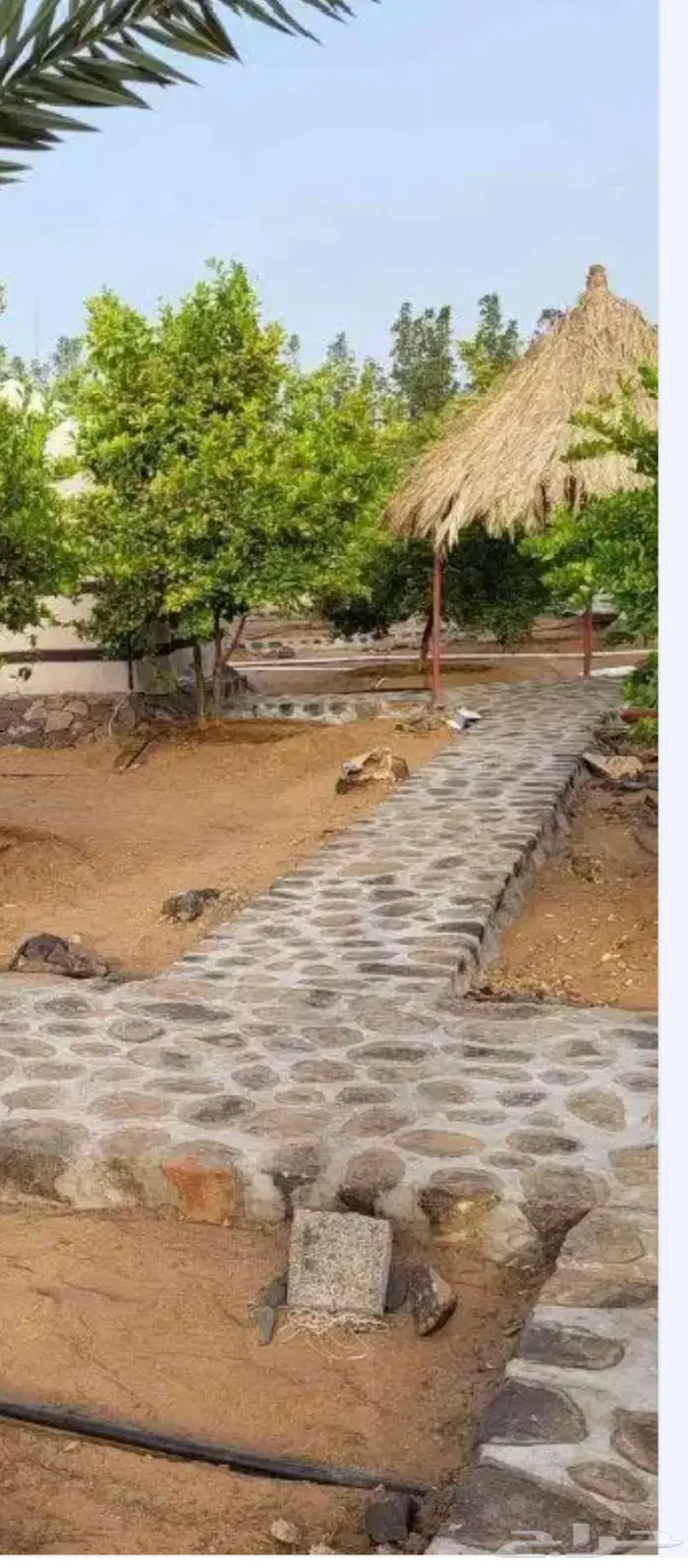 تليس حجروربراب 5