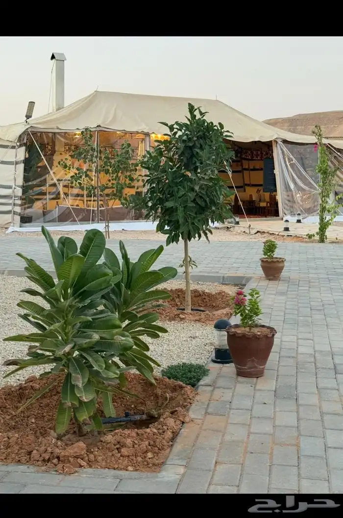 منتجع واسع و متكامل للإيجار اليومي في العمارية 0