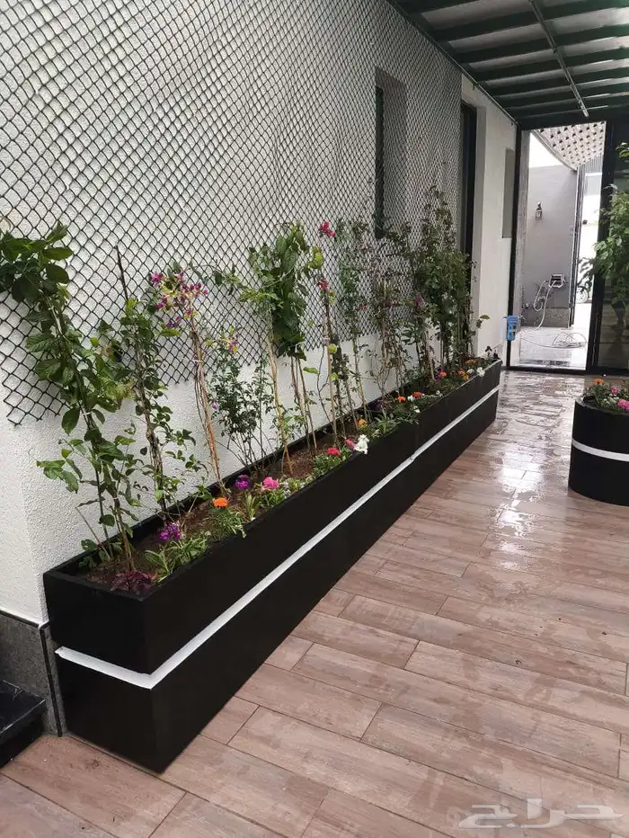 مشاتل الرياض للاشجار 8