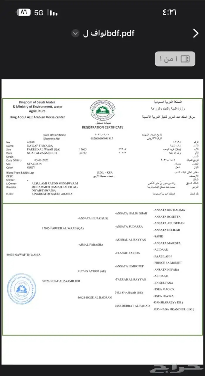 حصان أوراق 5