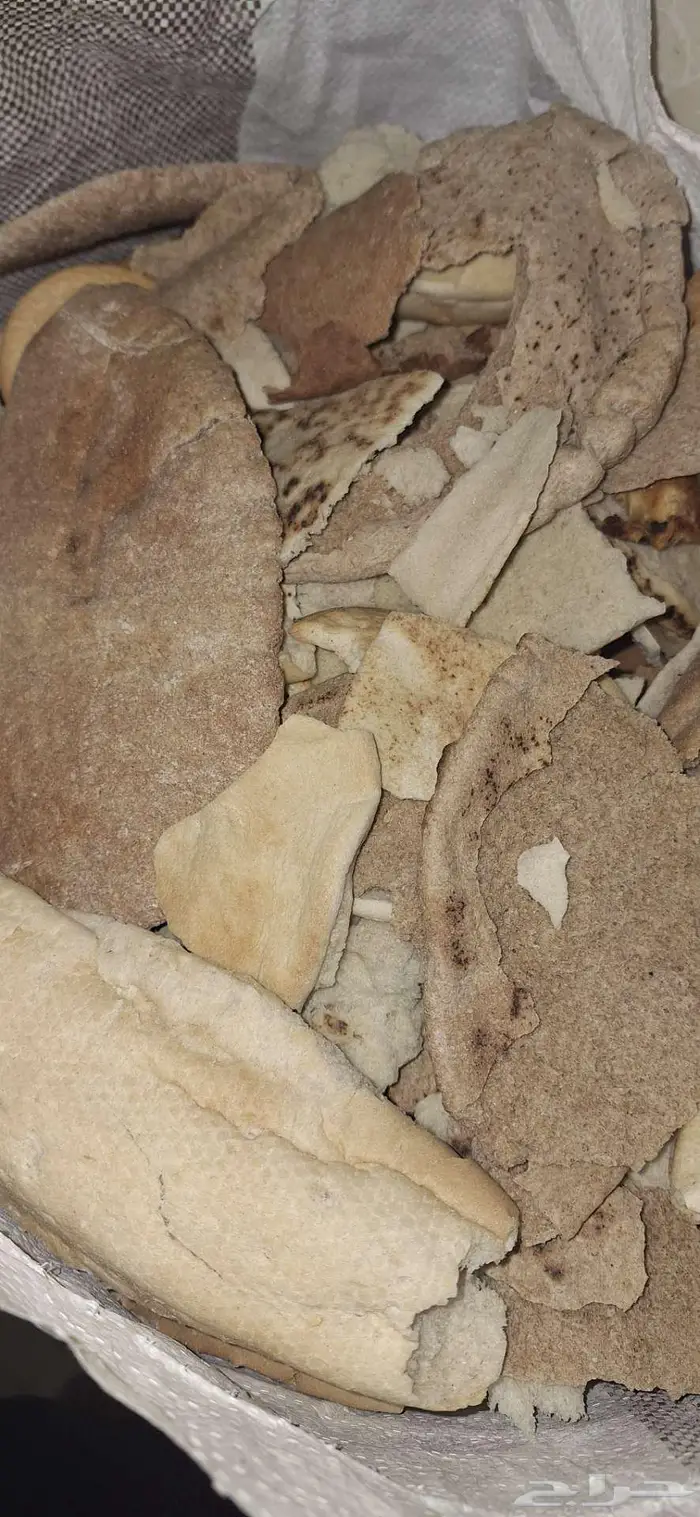 كيس خبز ناشف للغنم بحرة القديمة 2