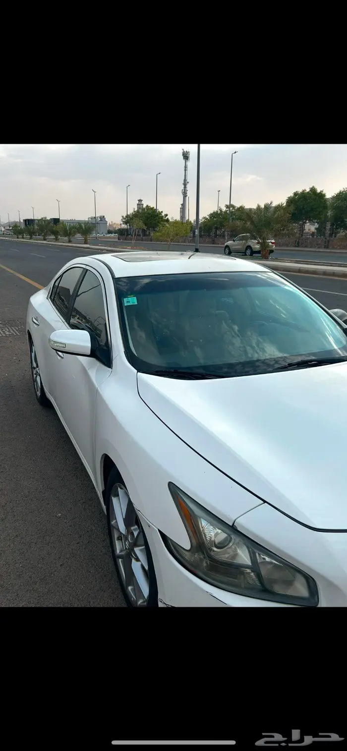 مكسيما فل كامل 2011 0