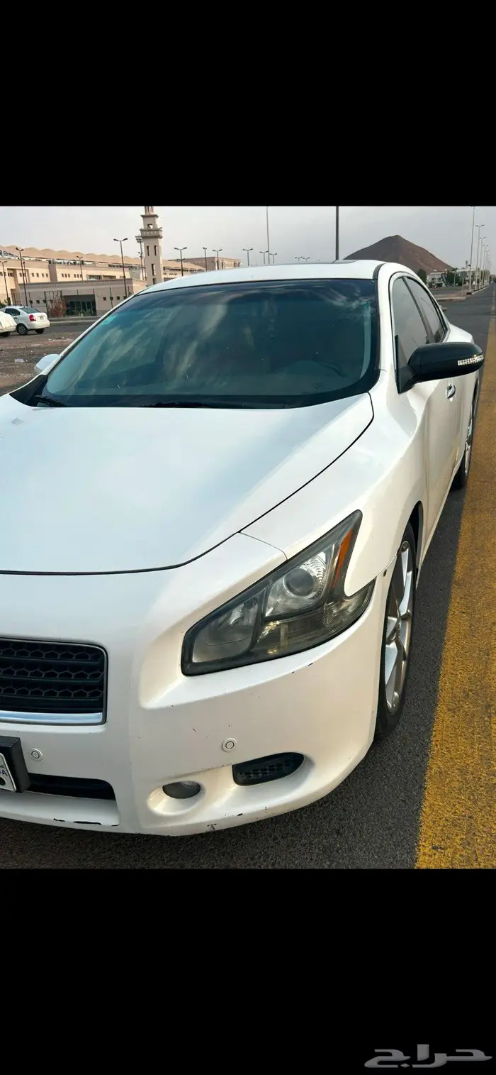 مكسيما فل كامل 2011 1