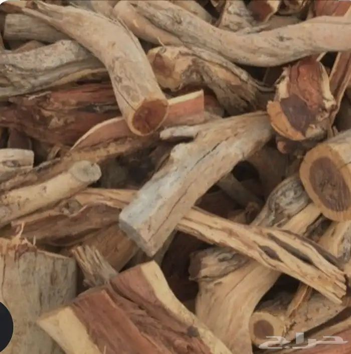 حطب مستورد على كيفك 2