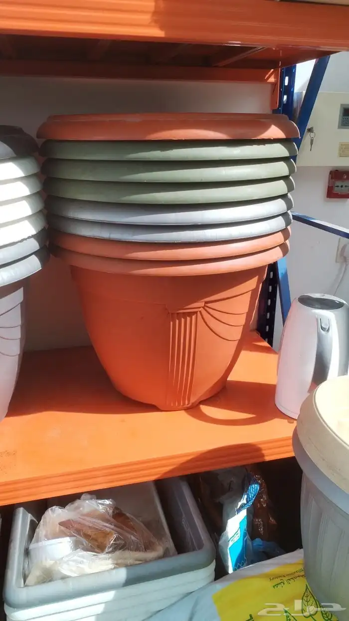 مشاتل الرياض للاشجار 9