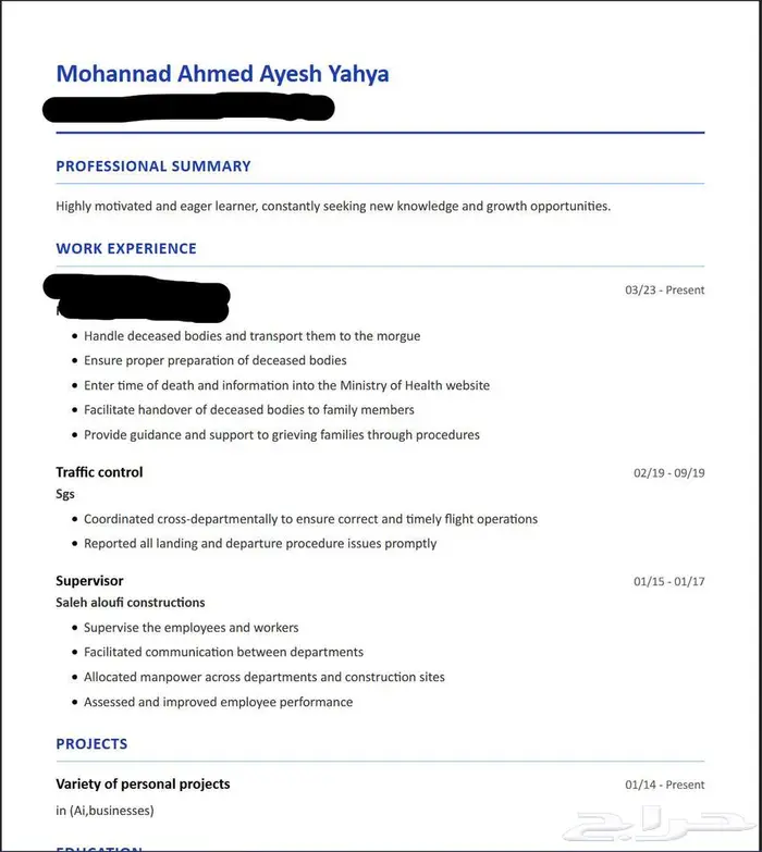 تصميم سيرة ذاتية نظام ATS 0