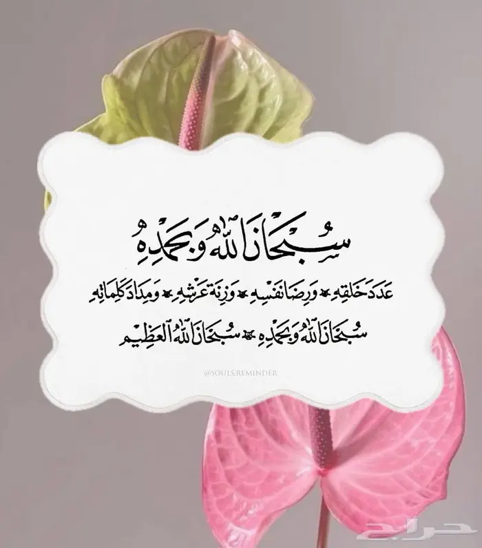 صالون تجميل نسائي للبيع 0