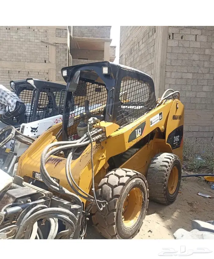 بوبكات كتر قشاطة 2012 0