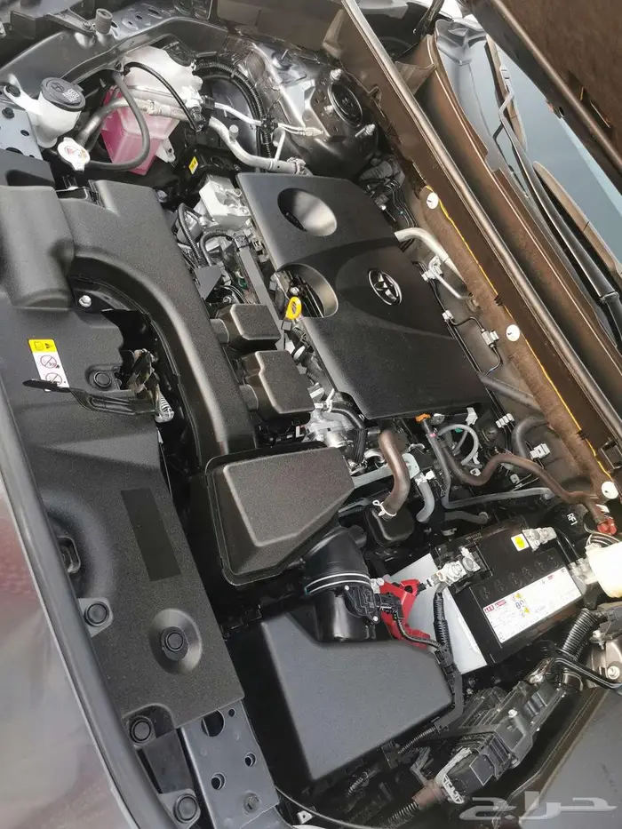 راف فور 2024 7