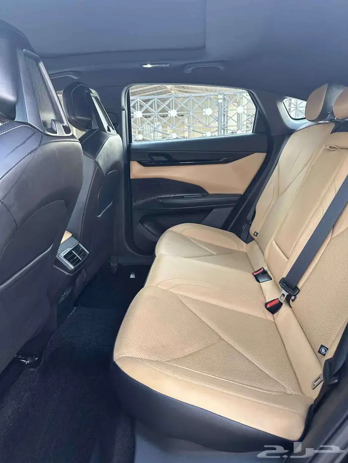 شانجان يوني في 2024 8