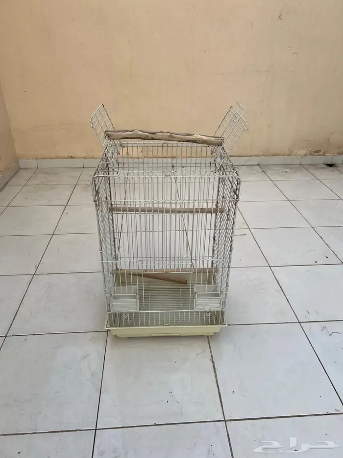 قفص بغبغاء 1