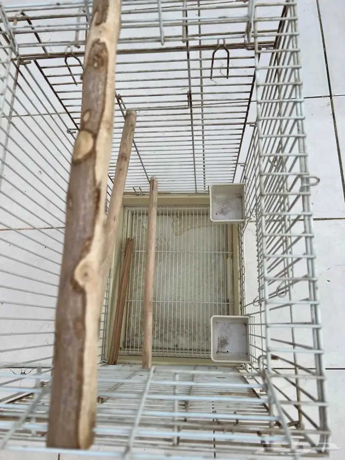 قفص بغبغاء 2