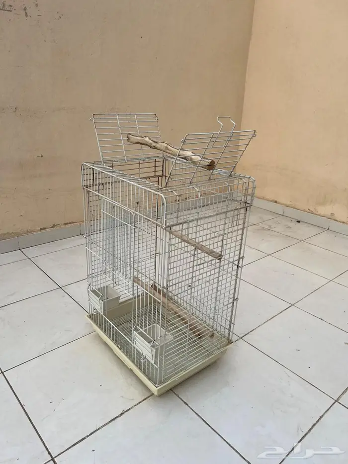 قفص بغبغاء 4
