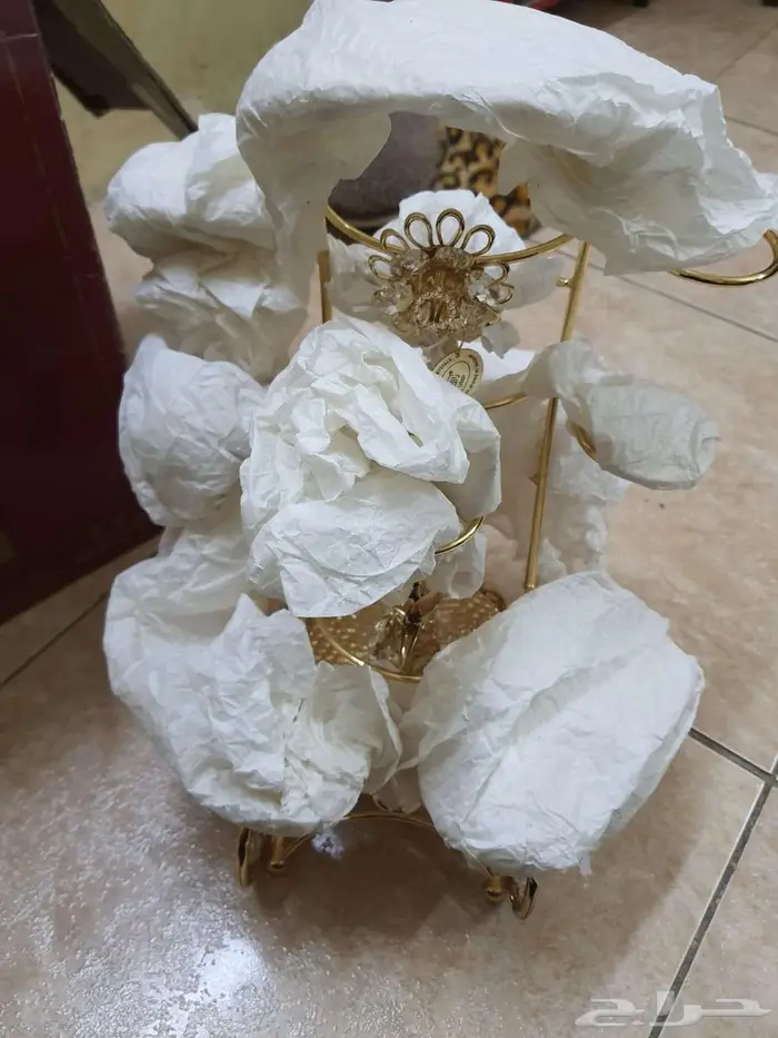 شياله فناجين 2