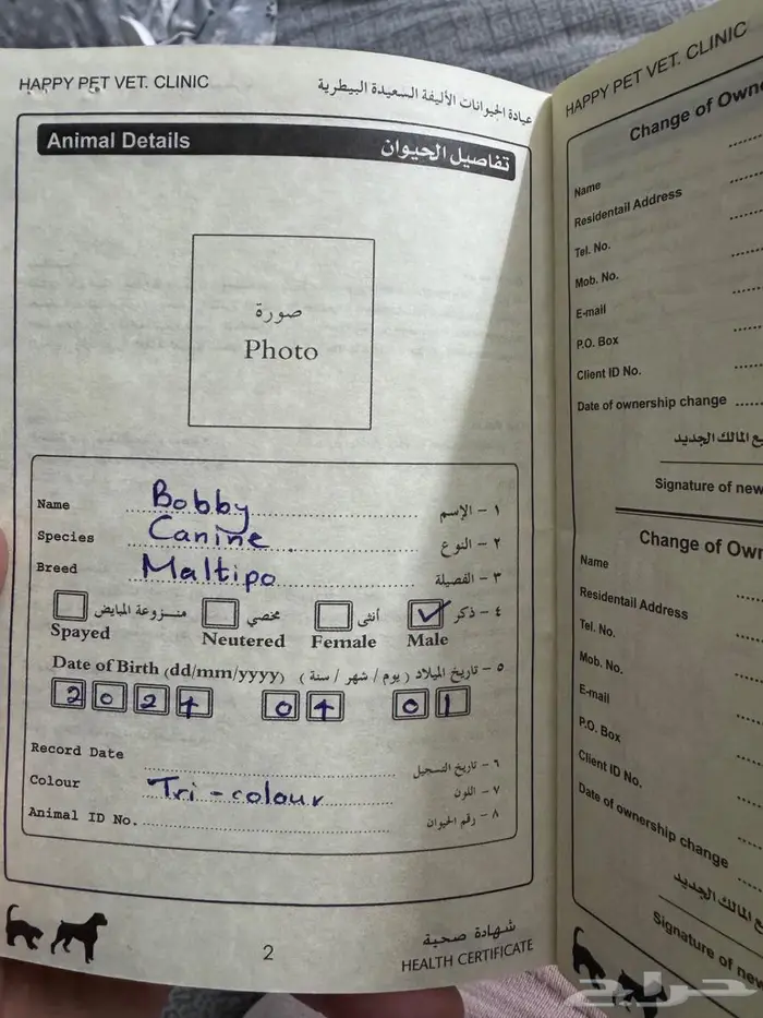 كلب مالتيبو عمره سنة ونص 4