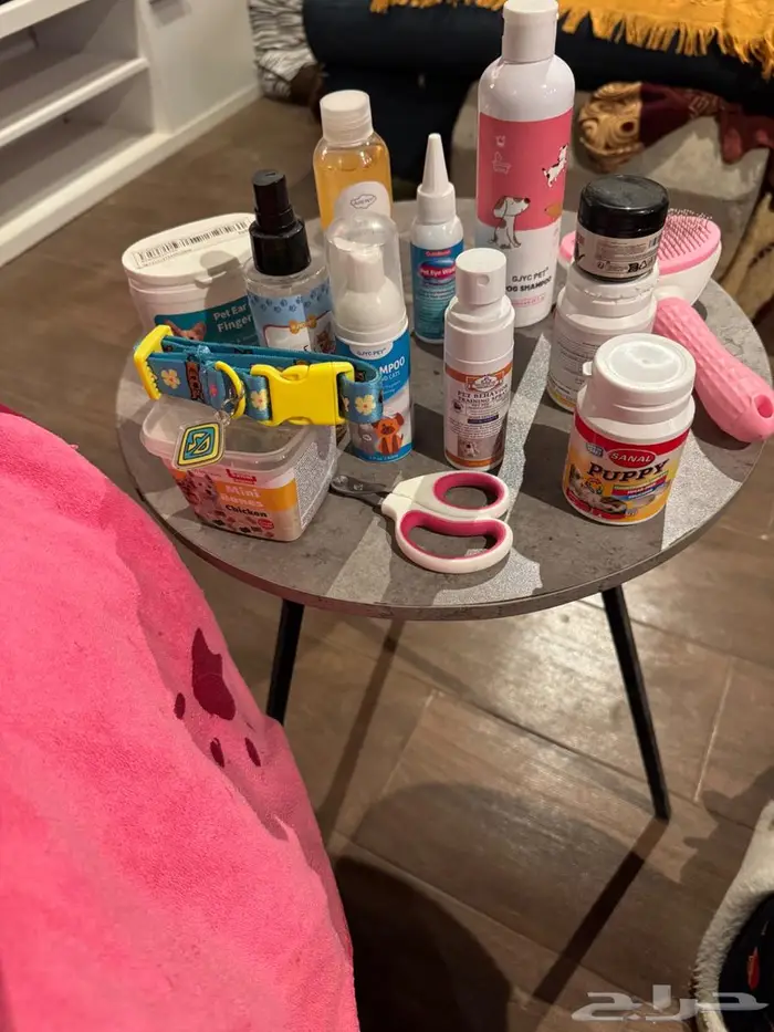 كلب مالتيبو عمره سنة ونص 0