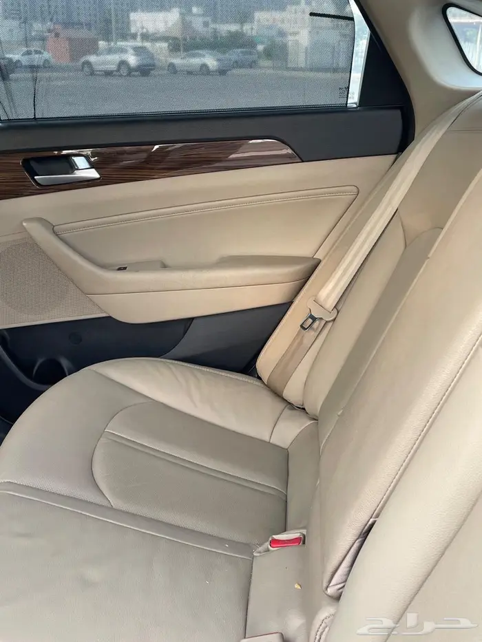 سوناتا 2017 12