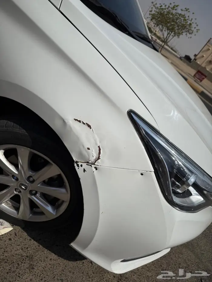 ينبع البحر 0