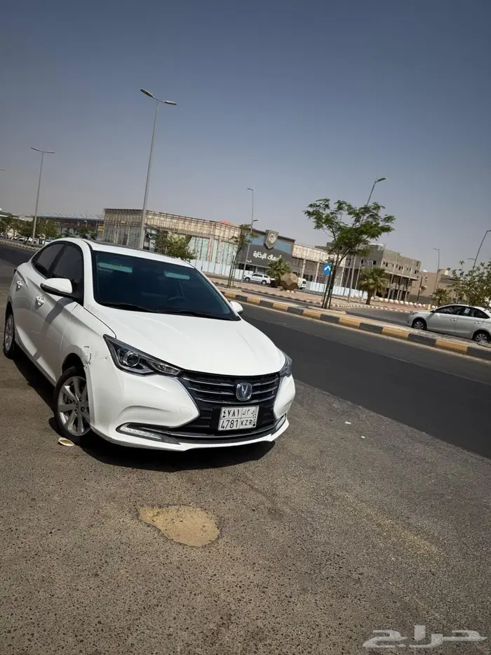 ينبع البحر 1