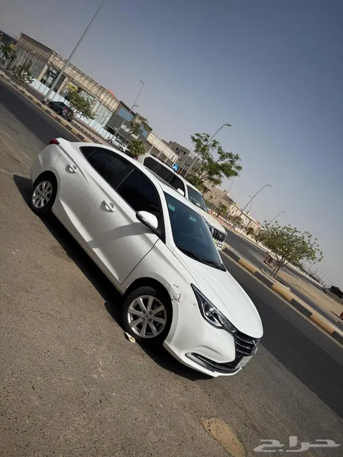 ينبع البحر 2