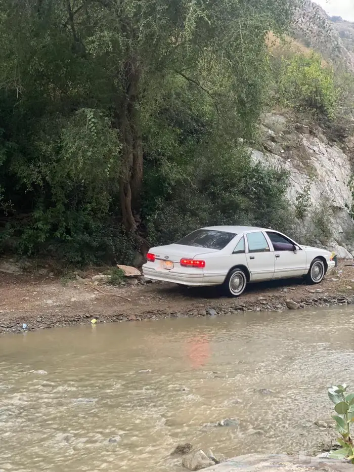 كابرس صابونه 93 1