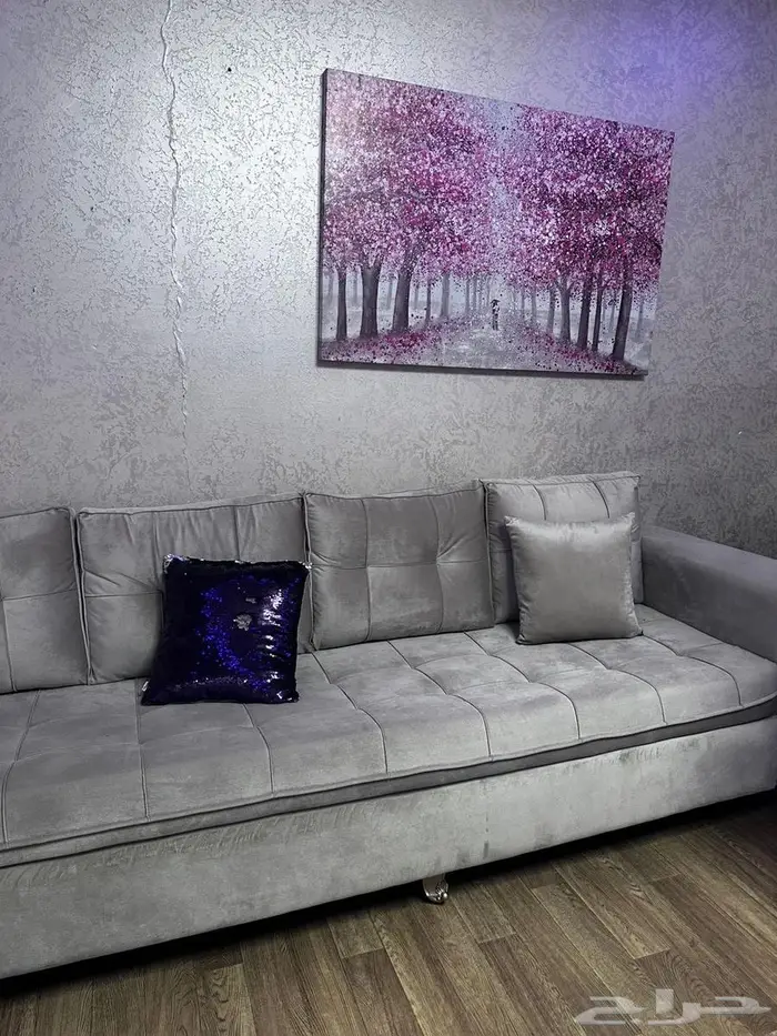 جلسة خمسة في خمسة للبيع 0