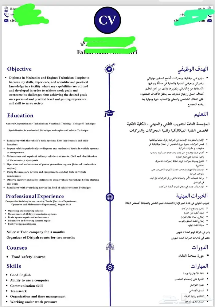 سيرة ذاتية احترافية ATS 10
