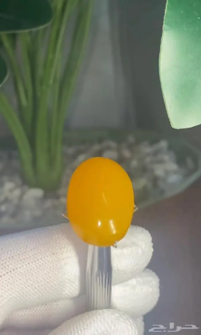 حجر كهرمان 0