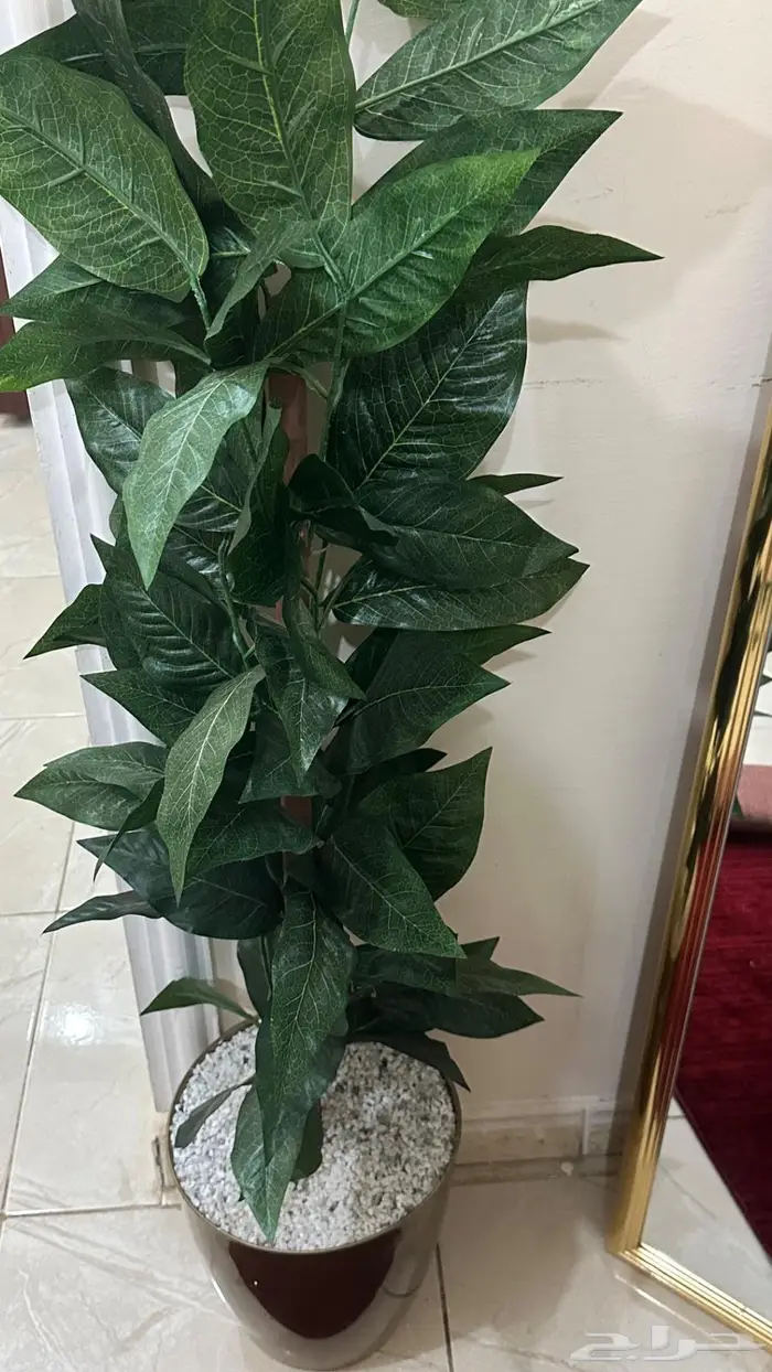 عفش كامل للبيع 0