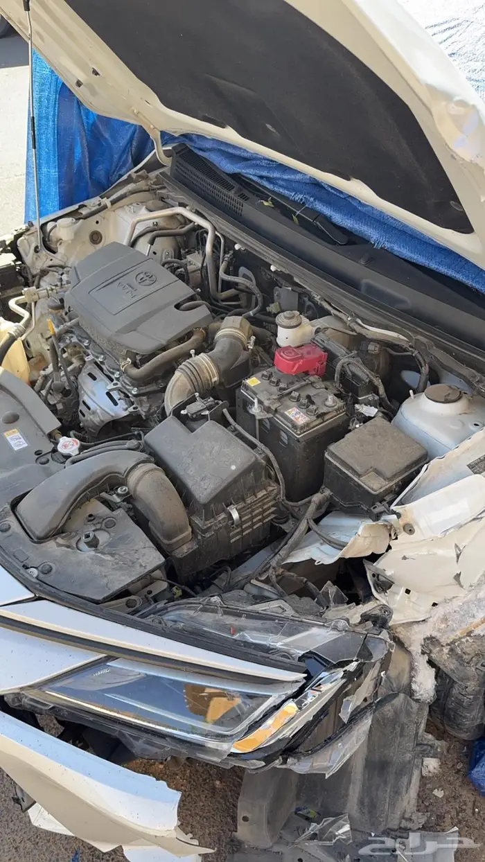 يارس 2024 نص فل بلس 2