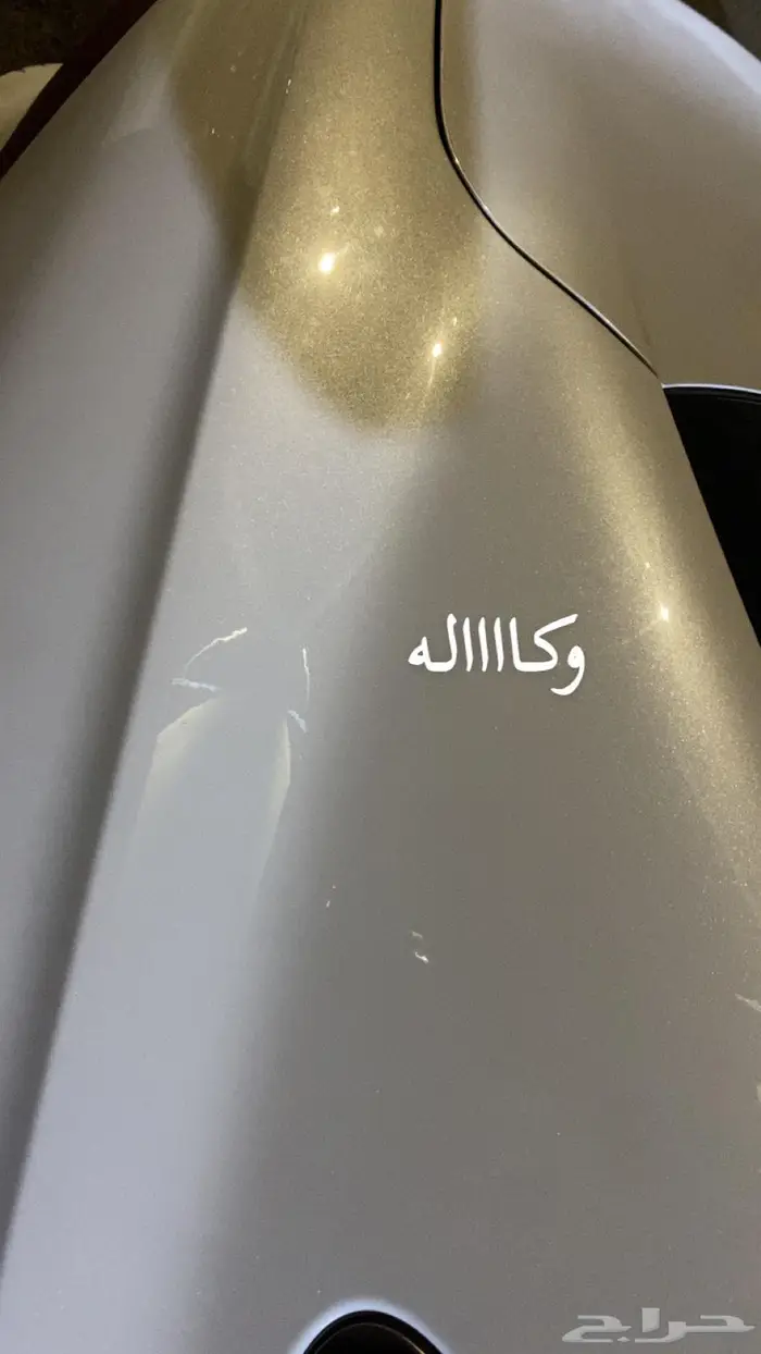 ازيرا ابيض وكاله 2023 46