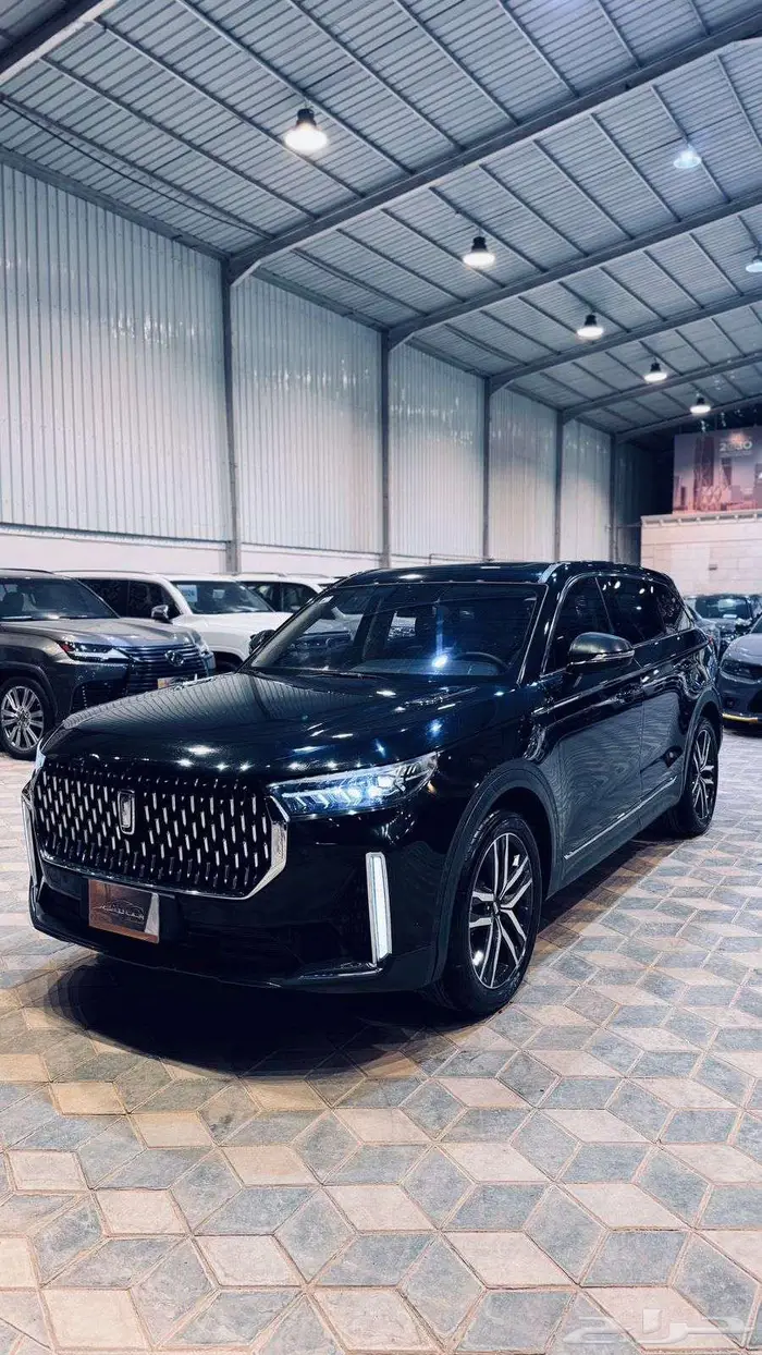 بيستون واجن T99 1