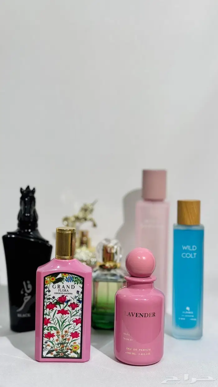 عطور ماستر كوالتي 13