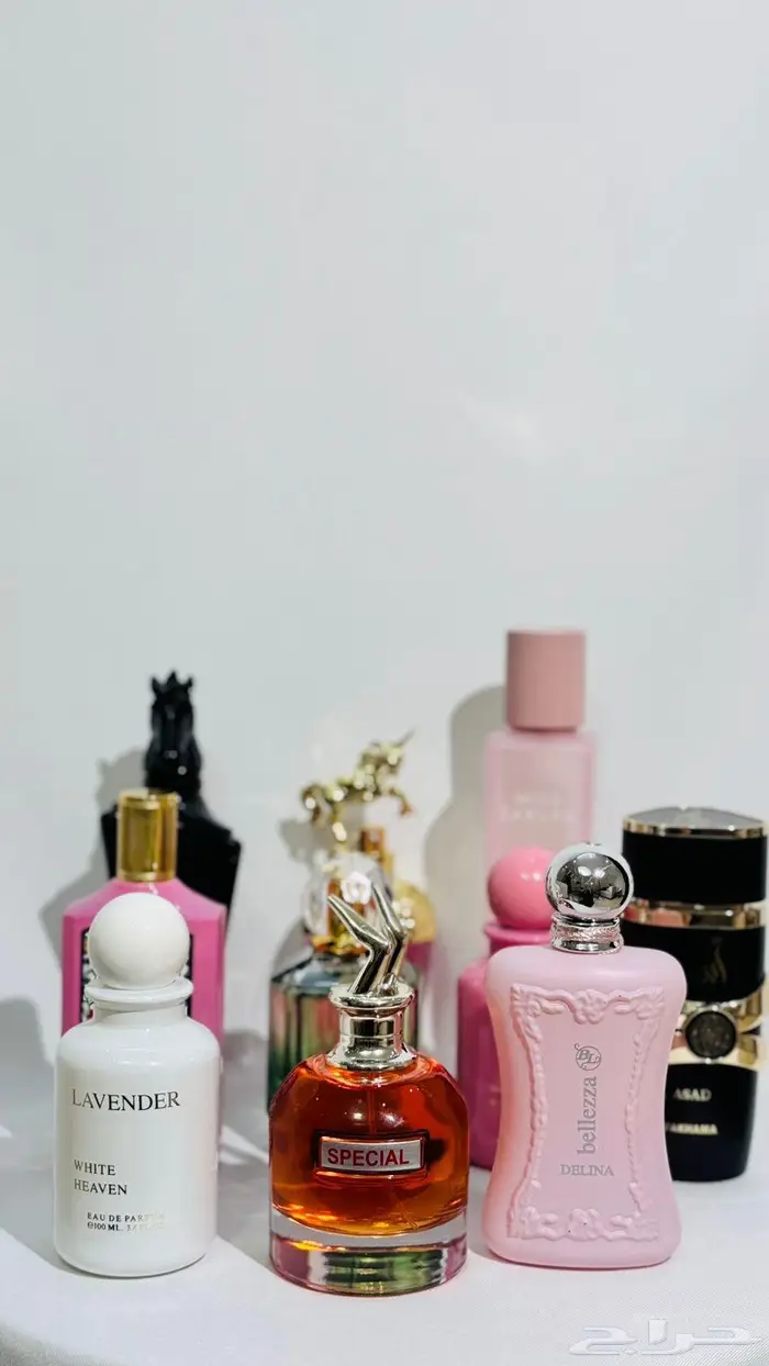 عطور ماستر كوالتي 0