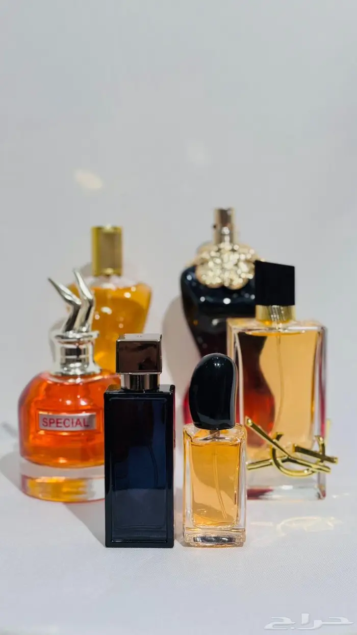 عطور ماستر كوالتي 17