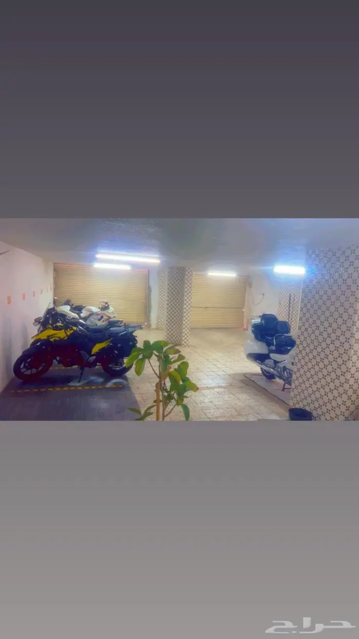 دباب هارلي 6